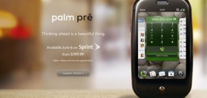palm01