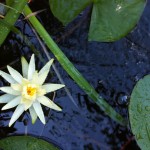 IMG_0024 IMG_0024