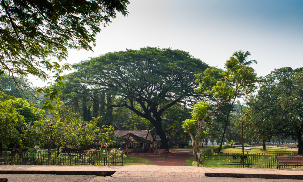 blogPW1_8386_2000px