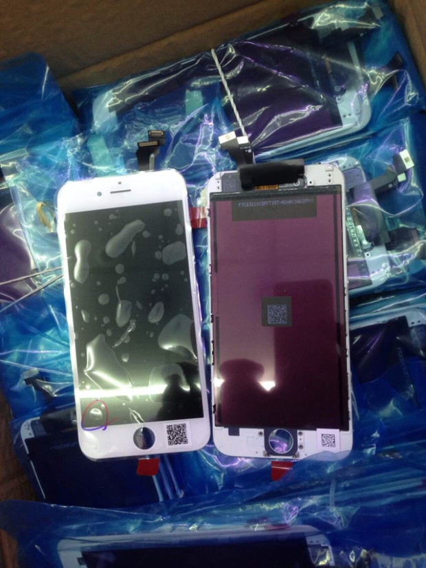 iPhone 6 5.5 leak 02