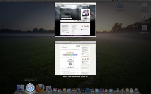 OS X Expose 10.6